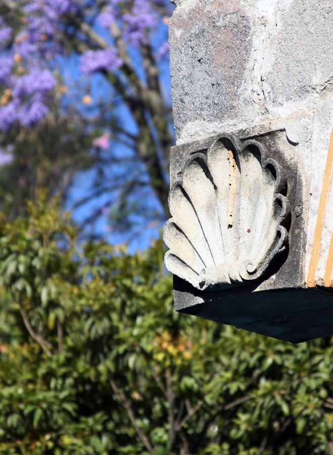 Casa De Las Conchas Cuernavaca Bagian luar foto